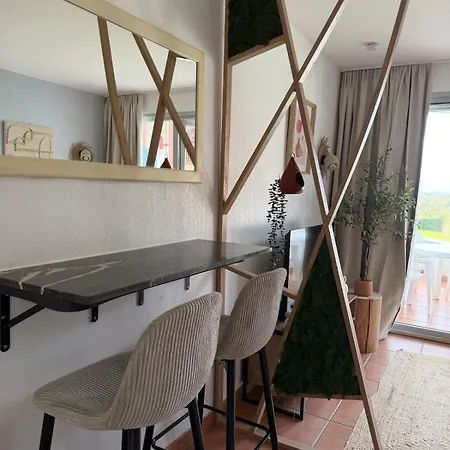 Apartament Cocon Lumineux Avec Piscine Et Vue Sur Les Pyrenees *